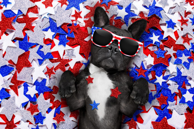 Calendar_7-1_Patriotic-Puppy