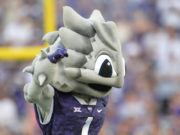 Becoming SuperFrog