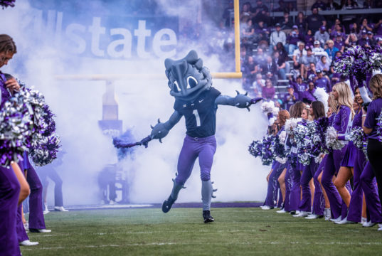 Becoming SuperFrog