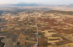 How Mineral Ownership Still Shapes Real Estate Decisions Across Texas