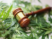 THC Ban in Effect Today (Jul 31)
