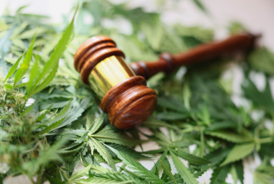 THC Ban in Effect Today (Jul 31)