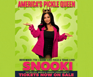 Snooki Pickle Rectangle 300x250px Snooki Pickle Rectangle 300x250px