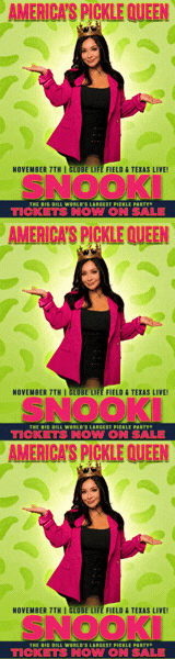 Snooki Pickle skyscraper 160x600px