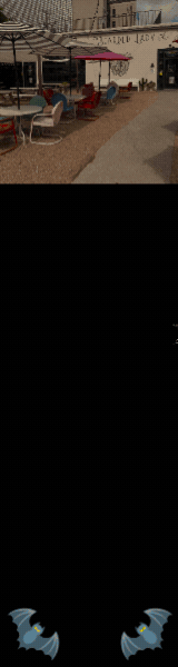 BEARDED LADY 160x600 Web Ad