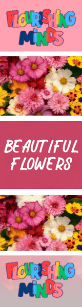 Flourishing Minds 160x600