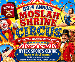 MS-Circus-300x250
