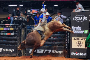 bull rider PBR
