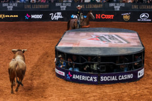shark cage PBR