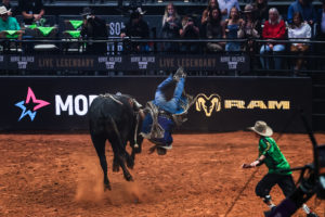 bull rider flips